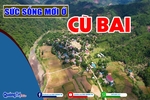 Sức sống mới ở Cù Bai