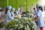 Đôn đốc thực hiện dự án Nhà máy chế biến nông sản hữu cơ Đại Nam - Ong Biển Quảng Trị