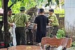 Đã bắt được cá thể khỉ tấn công cháu bé 10 tuổi ở xã Cam Lộ
