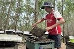 Theo những mùa hoa nở...