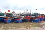 Khẩn trương kêu gọi tàu thuyền vào nơi trú ẩn an toàn