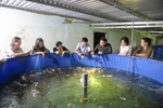 Tiếp tục triển khai hiệu quả các nhiệm vụ khoa học và công nghệ