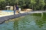 A young Vietnamese entrepreneur makes waves with Koi breeding startup