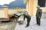 Phát hiện, xử lý 65 vụ vi phạm pháp luật về lâm nghiệp