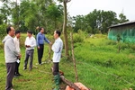 Xã Cửa Việt: Kiểm tra tình hình chăn nuôi lợn trên địa bàn