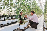Chú trọng thực hiện các chương trình, đề án, lĩnh vực đột phá, góp phần thúc đẩy kinh tế - xã hội huyện Gio Linh phát triển