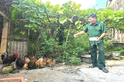 Cựu chiến binh hai quê, một lòng