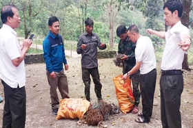 “Ngừng ăn thịt thú rừng, góp thiện cho đời”