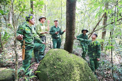 Vietnam, Laos strengthen cross-border cooperation on forest protection