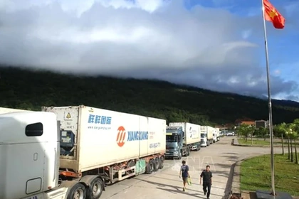 Quang Tri seeks ODA support to repair road of Laos