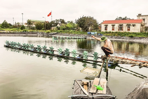 Bảo vệ thủy sản nuôi khi giá rét