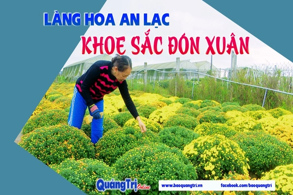 Làng hoa An Lạc khoe sắc đón xuân