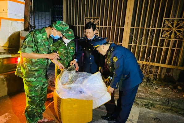 Bắt giữ 1,7 tấn nội tạng lợn bốc mùi hôi thối