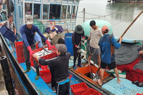 Ngư dân rộn ràng “mở biển” đầu năm