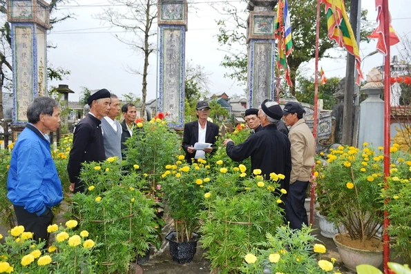 Thú vui tuổi già từ hội thi hoa ở Văn Quỹ