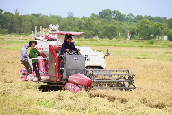 Tổ chức Hội Nông dân vững mạnh và các phong trào thi đua sôi nổi đã góp phần xây dựng huyện Gio Linh ngày càng giàu đẹp