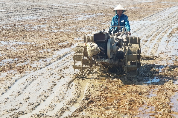 Dự báo nắng hạn ảnh hưởng lớn đến sản xuất nông nghiệp