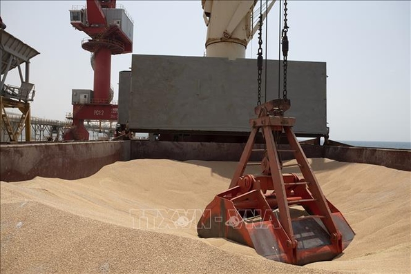 Các cuộc kiểm tra tàu thuyền theo thỏa thuận ngũ cốc Biển Đen đã được nối lại