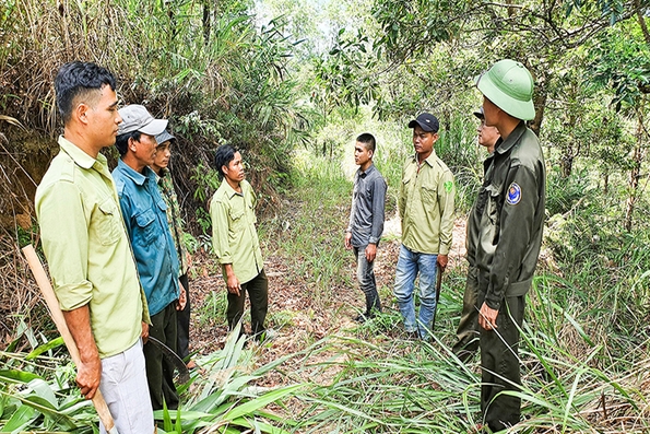 Phát huy vai trò tổ, đội quần chúng bảo vệ rừng