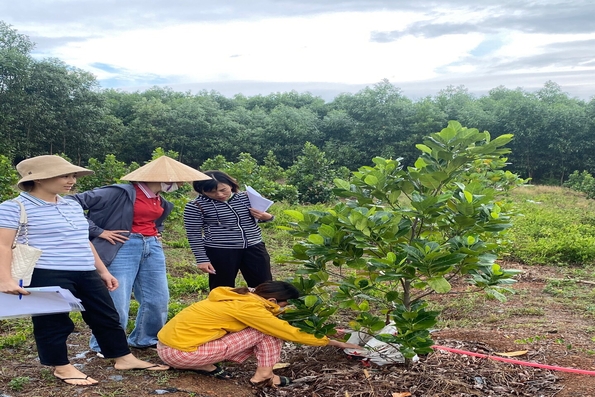 Giải ngân 100 triệu đồng nguồn vốn tín dụng quay vòng cho phụ nữ nghèo