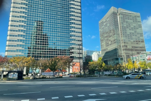 Seoul - mùa hoa ngân hạnh