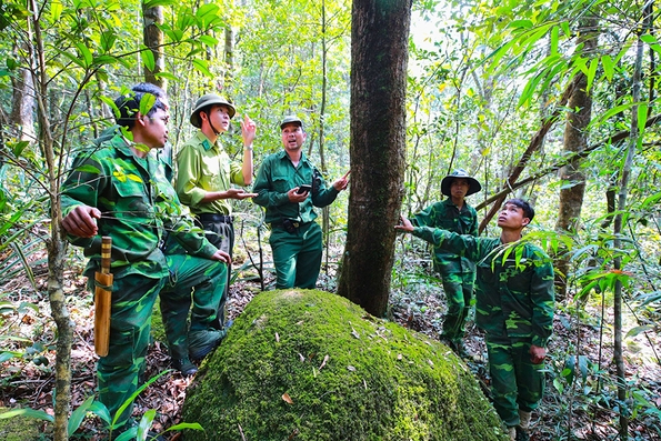 Hướng Hóa chú trọng kiểm tra, bảo vệ, phát triển rừng