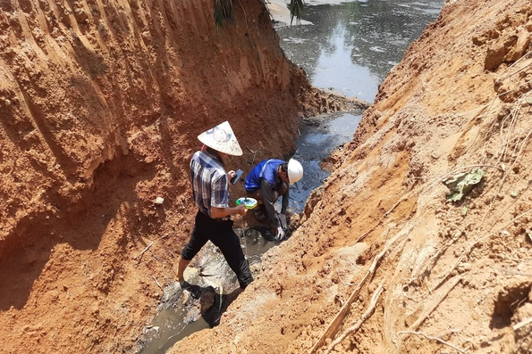 Trại lợn xả thải ra suối Rào Trường: Chỉ số nước thải vượt quy chuẩn hơn 40 lần