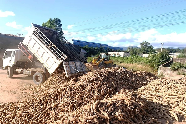 Hỗ trợ thu mua nông sản từ Lào