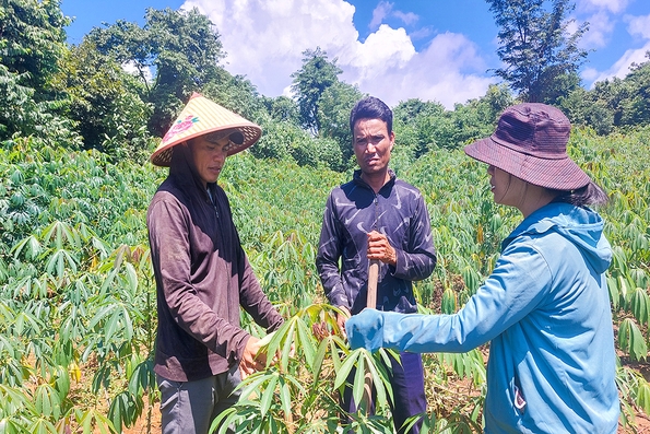 Tân Thành nỗ lực hoàn thành các tiêu chí nông thôn mới bị giảm