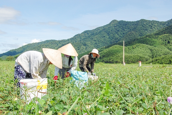 Đakrông thực hiện hiệu quả các giải pháp giảm nghèo