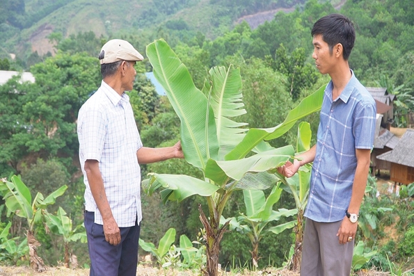 Hiệu quả Chương trình mục tiêu quốc gia phát triển kinh tế - xã hội vùng đồng bào dân tộc thiểu số