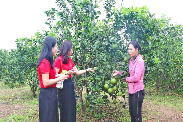 “Bệ đỡ” cho nông thôn mới Triệu Phong