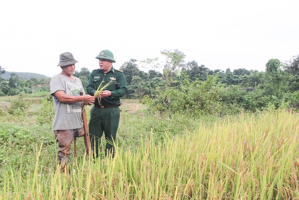 Thay đổi tư duy sản xuất nông nghiệp của đồng bào dân tộc thiểu số