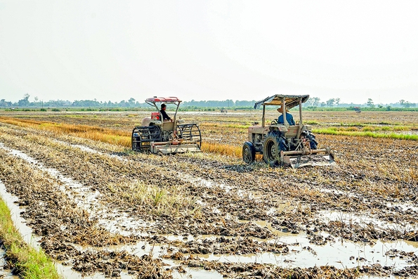 Tập trung xuống giống lúa vụ đông xuân