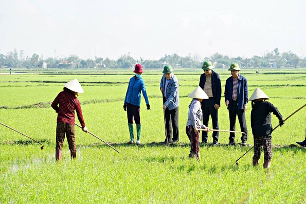 Quyền chủ tịch UBND tỉnh Hà Sỹ Đồng kiểm tra tình hình sản xuất nông nghiệp đầu Xuân Ất Tỵ 2025