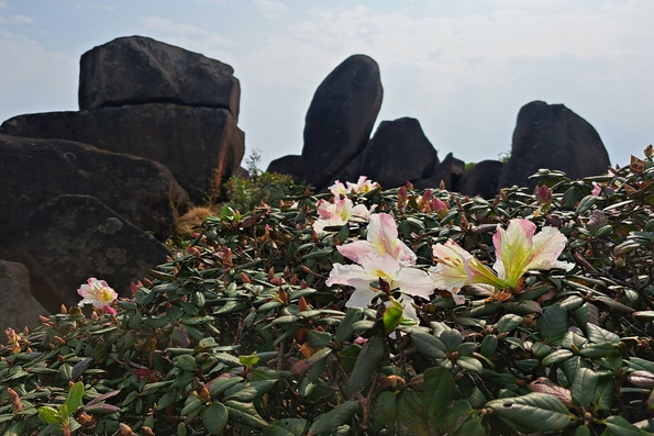 Bac Huong Hoa’s hidden gem for ecotourism in Quang Tri