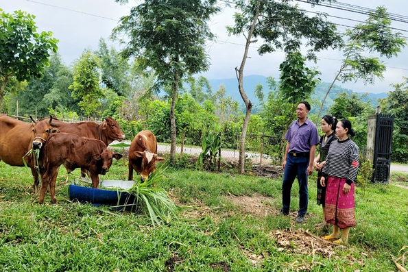 Đồng hành với người dân vùng núi phát triển sản xuất, kinh doanh