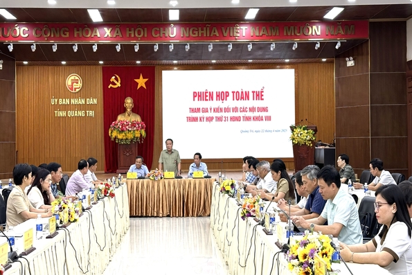 Tham gia ý kiến các nội dung trình kỳ họp thứ 31, HĐND tỉnh khóa VIII