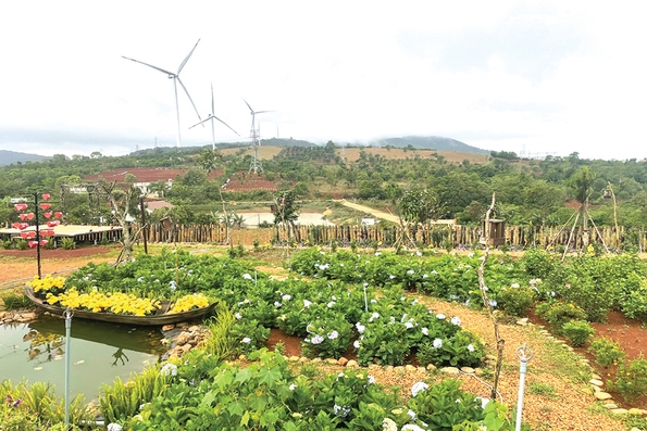 Những dấu ấn sau nửa thế kỷ hòa bình