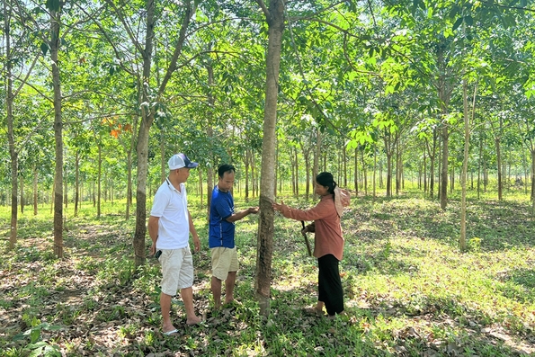 Bước chuyển mình ở một vùng quê cách mạng