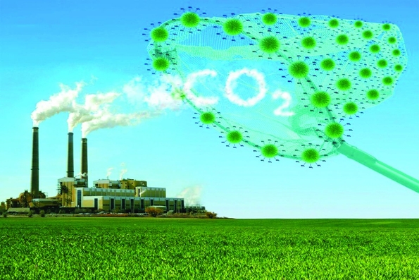 Gần 2,57 tỉ đồng thực hiện dự án do WWF-Việt Nam tài trợ