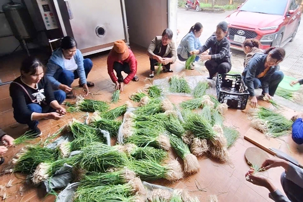 Nguồn lực mới trong xây dựng Đảng vững mạnh
