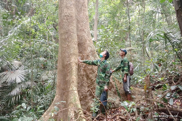 Giữ rừng, giữ thác mãi xanh
