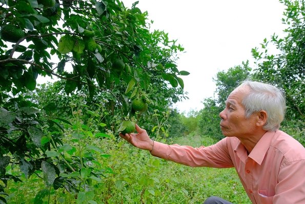 Hội Cựu chiến binh huyện Hải Lăng: Đoàn kết, đi đầu trong thực hiện các phong trào thi đua