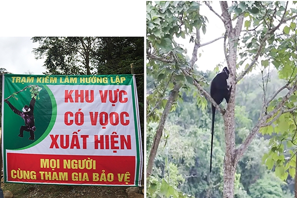 Tăng cường công tác bảo vệ động vật hoang dã, bảo tồn đa dạng sinh học
