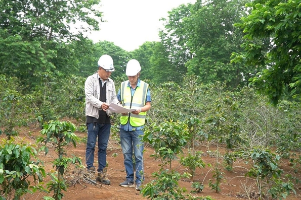 Hướng Hóa: Sẽ cưỡng chế thu hồi đất để xây dựng nhà máy điện gió 2.100 tỉ đồng