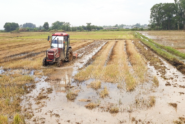 Quảng Trị đạt nhiều kết quả trong phát triển ngành nông nghiệp