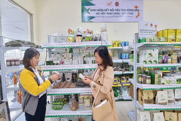 Động lực thúc đẩy phát triển kinh tế tập thể trong giai đoạn mới