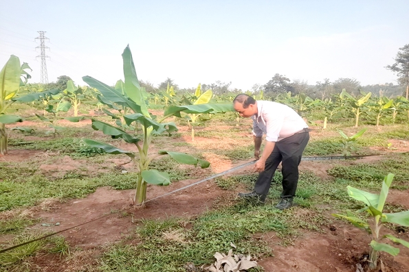 Mấy mùa quả ngọt trên đất Tân Long