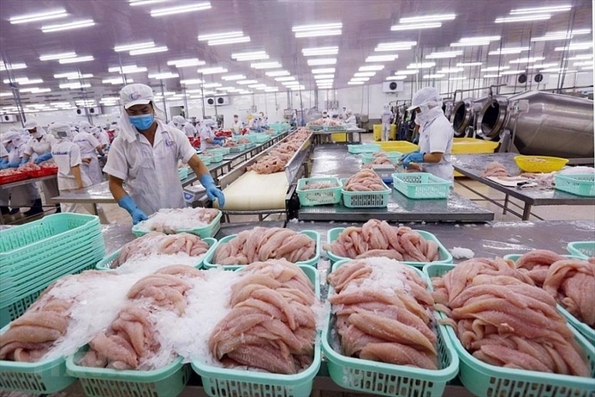 Đề nghị hỗ trợ doanh nghiệp xuất khẩu thủy sản vào thị trường Nga